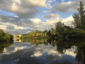 IMG_4871