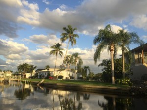 IMG_4872