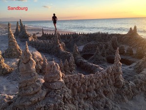 IMG_E7939    