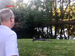 IMG_E7963  