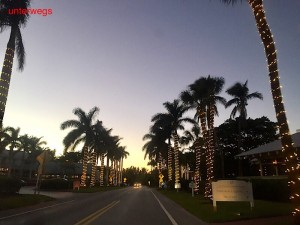 IMG_E7968  