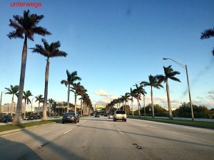 IMG_E7997  